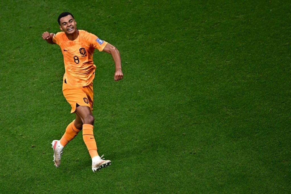 fbl wc 2022 match36 ned qat 2