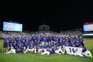 Cachorros de Chicago