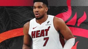 Home 21 Giannis (Miami Heat)